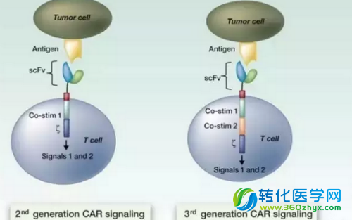 CAR-T细胞疗法：教会免疫细胞去攻击癌症！