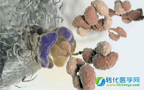 Nature医学：新免疫疗法横扫癌症与感染