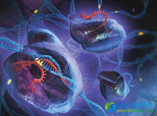 Development cell：应用CRISPR-Cas9实现斑马鱼组织特异性基因敲除