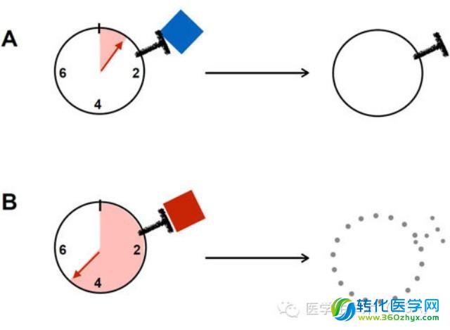 基因编辑技术驱动肿瘤T细胞疗法的研发