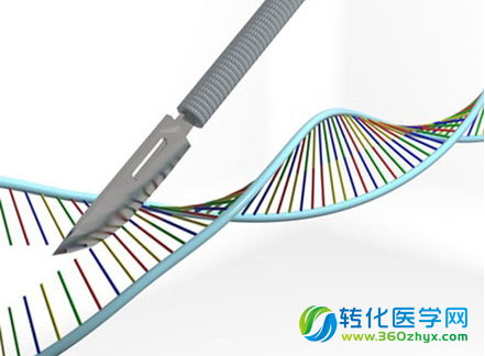 Nature大型访谈：中国科学家众说CRISPR