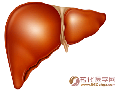 科学家揭示肝癌干细胞自我更新的分子机制