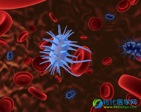 Science：极端稳定的DNA形态