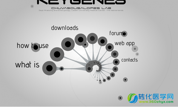 Stem Cell Rep：KeyGenes平台或可帮助确定人类胚胎干细胞的分化命运