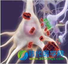 Nature子刊：科学家解开老年痴呆之谜