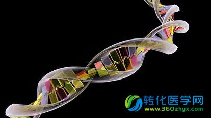 用CRISPR/Cas9领略不一样的风景