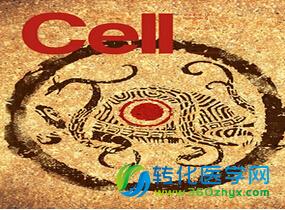 汤富酬乔杰科研成果登上Cell封面文章：人类原始生殖细胞研究获重要成果