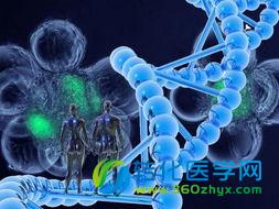 生物学新利器是把双刃剑—全新基因编辑技术引发研究领域巨变