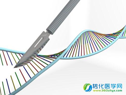 与PCR技术可媲美的明星技术：CRISPR