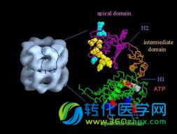 厦门大学PNAS表观遗传学新文章