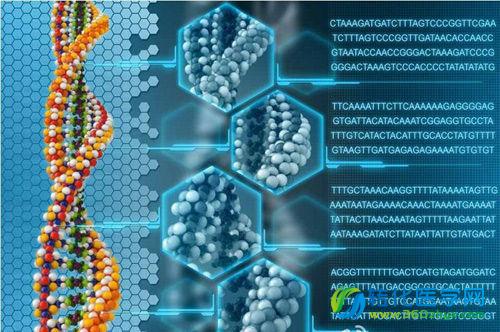 Nature Methods：超越NGS的基因组分析新策略