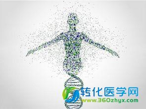 你给我DNA，我来为罪犯画像