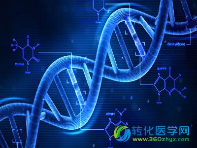 Science子刊发现全新的DNA修复机制