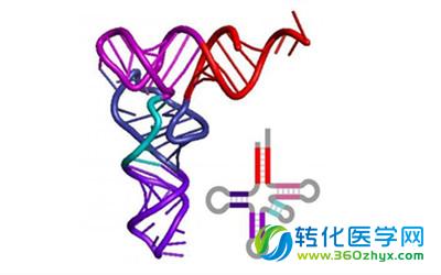 潘滔教授Nature Methods发布RNA测序重大突破