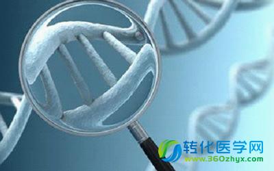 清华汪小我等人开发CRISPR sgRNA设计工具