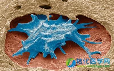 上海交大Nature子刊发表最新成果之脑海绵状血管瘤