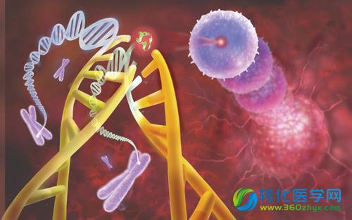 Nature Genetics:基因突变与癌症儿童药物的有氧副作用有关