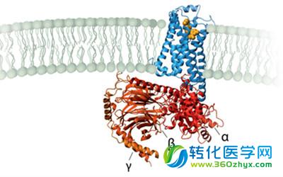 两篇Nature填补诺奖研究的空白