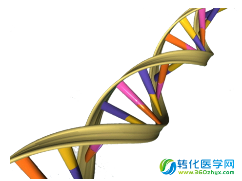 三大杂志同时揭示胃肠癌中的跳跃基因