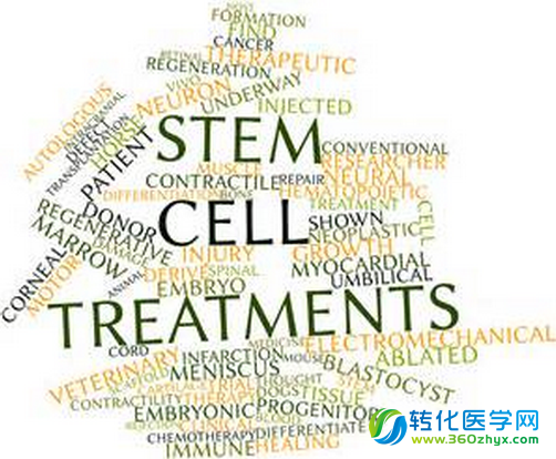 2015年干细胞疗法亮点研究集锦