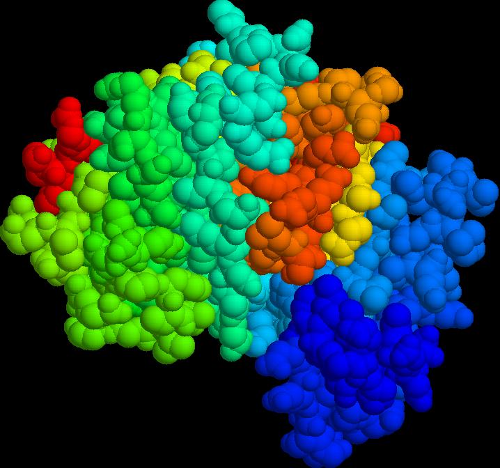 本期science杂志发表了两项研究,研究人员分别获得了两种蛋白酶的三维