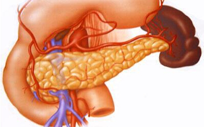 BMJ：血糖浓度升高可增加胰腺癌发病率