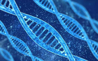 产业前瞻：基因科学从1.0到4.0，能带我们走多远？