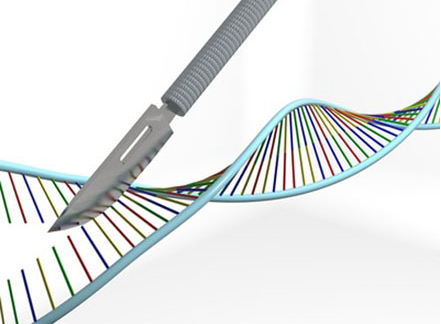 Nature Biotechnology：利用CRISPR系统筛选癌症药物靶向目标