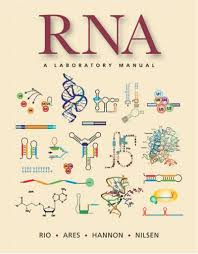 RNA:与癌症生物标记相关的新RNAs