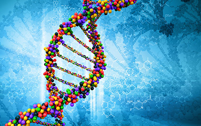 Science发布遗传学惊人发现