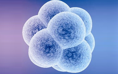 徐洋教授Cell Stem Cell发布iPS细胞重要成果