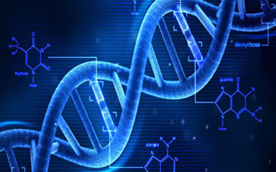 科学家开发出控制基因表达的新方法