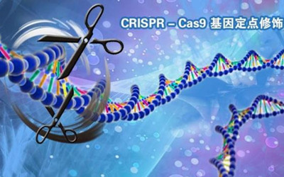 PNAS：利用CRISPR成功实施人类基因组手术