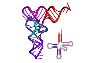 最新：RNA-seq数据分析指南