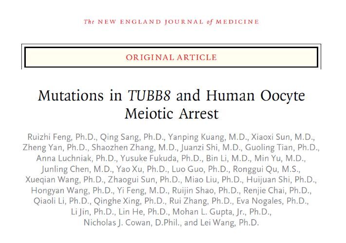 TUBB8 基因突变致人类卵子减数分裂阻滞