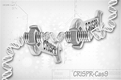 《自然》：法国科学家发现一种堪比CRISPR的潜在基因编辑新工具