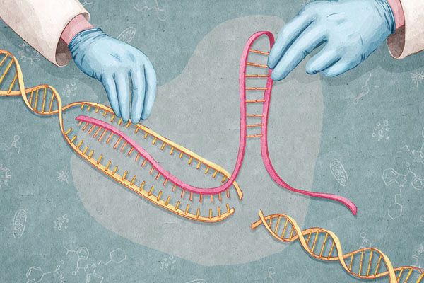 CRISPR，基因编辑只是头盘菜