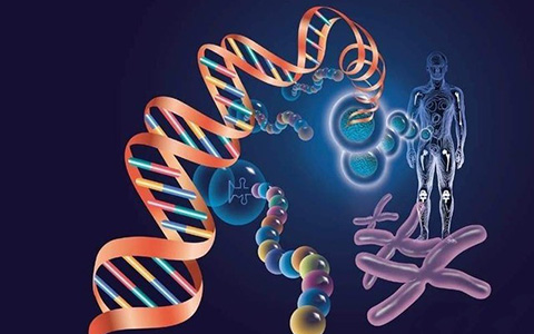 CRISPR/Cas9基因组编辑技术在癌症研究中的应用