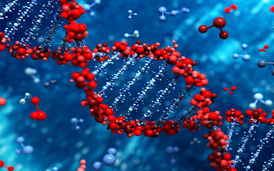 Nature子刊：新改良让基因治疗更有效