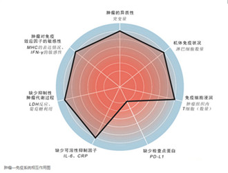 肿瘤—免疫系统相互作用图