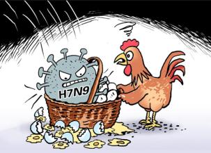 多地现人感染H7N9禽流感 中疾控：勿自行宰杀生禽