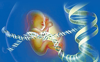 NEJM突破性成果，测序改变智障孩子的一生