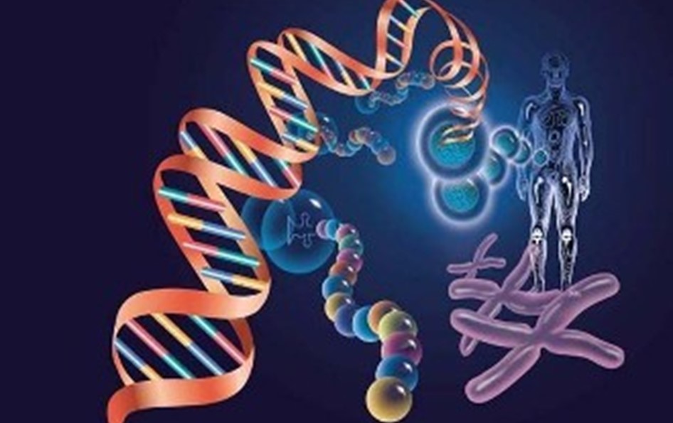 2016上半年组学与分子诊断行业并购频频