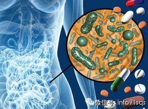 “肠”路漫漫，盘点国内外研究肠道菌的公司们