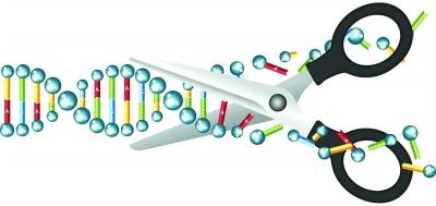 瑞士科学家编辑人类胚胎基因