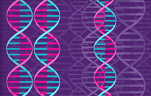 CRISPR-RNAseq:把混乱的基因编辑结果屡清楚