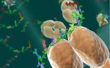 伯豪客户《plos one》发现诊断超急性期脑梗死的新颖标志物