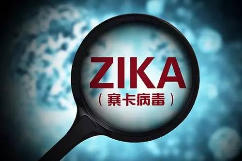 携带Zika病毒的蚊虫基因组绘制成功，重组人类基因组还会远吗？