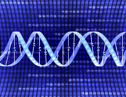 培训 | 李扬,吴崇胜：生物医学统计方法与实务