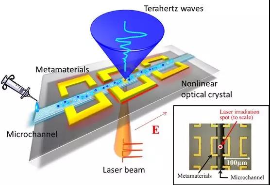 科学家开发出新的检测技术进行癌症、糖尿病早期诊断！